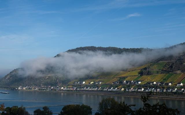 Morning mist rising from the vineyards and wooded slopes above the Rhine