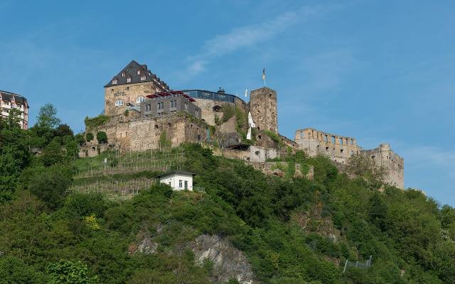 The large ruined castle of Rheinfels on a green hillside above St. Goar