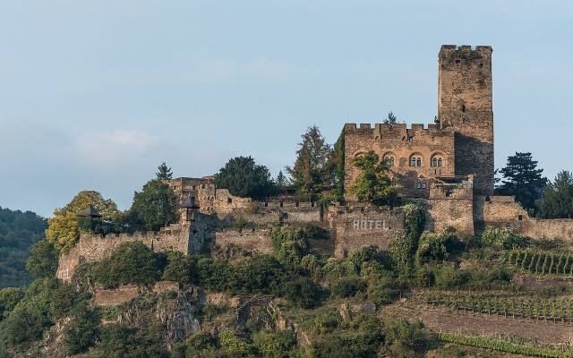 Burg Gutenfels above terraced vineyards near Kaub