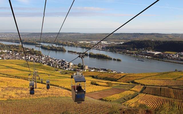 A cable car gondola above golden autumn vineyards at Rüdesheim, with the Rhine beyond